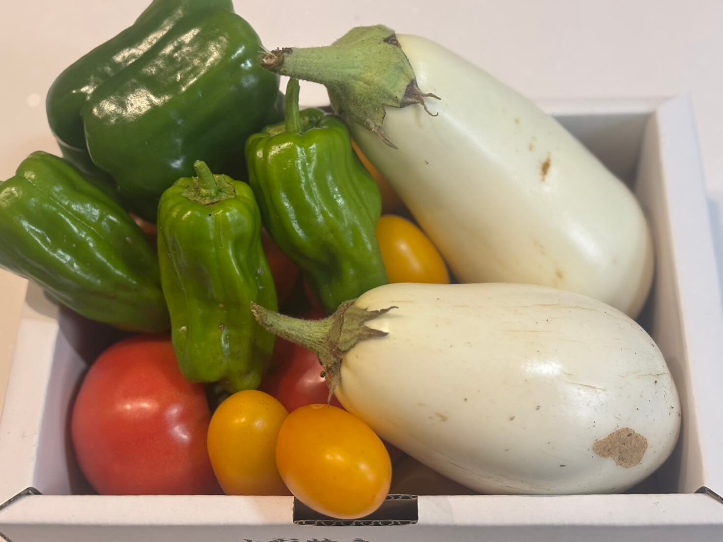 vegetable-harvest-202506-01