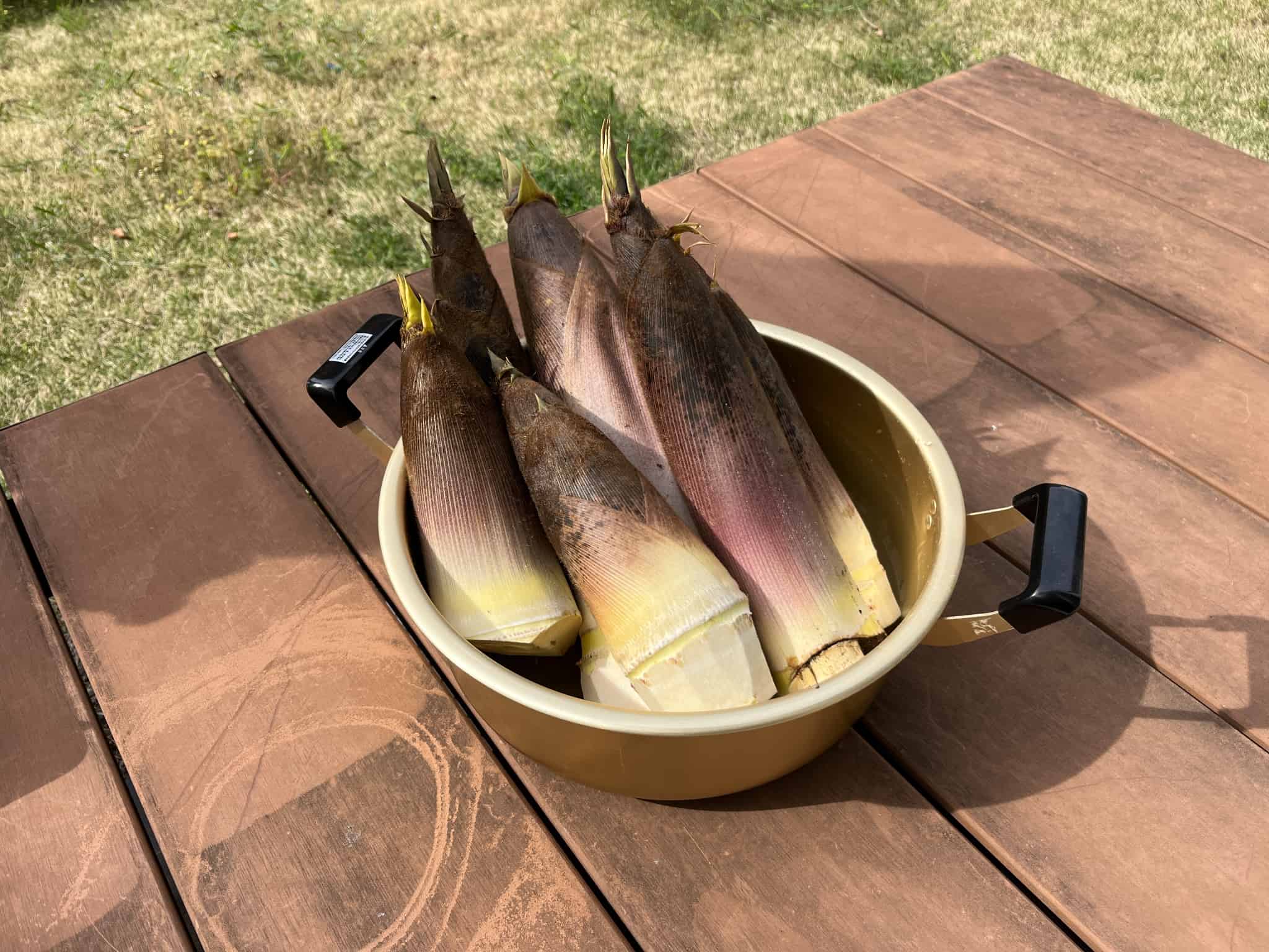 bamboo-shoots